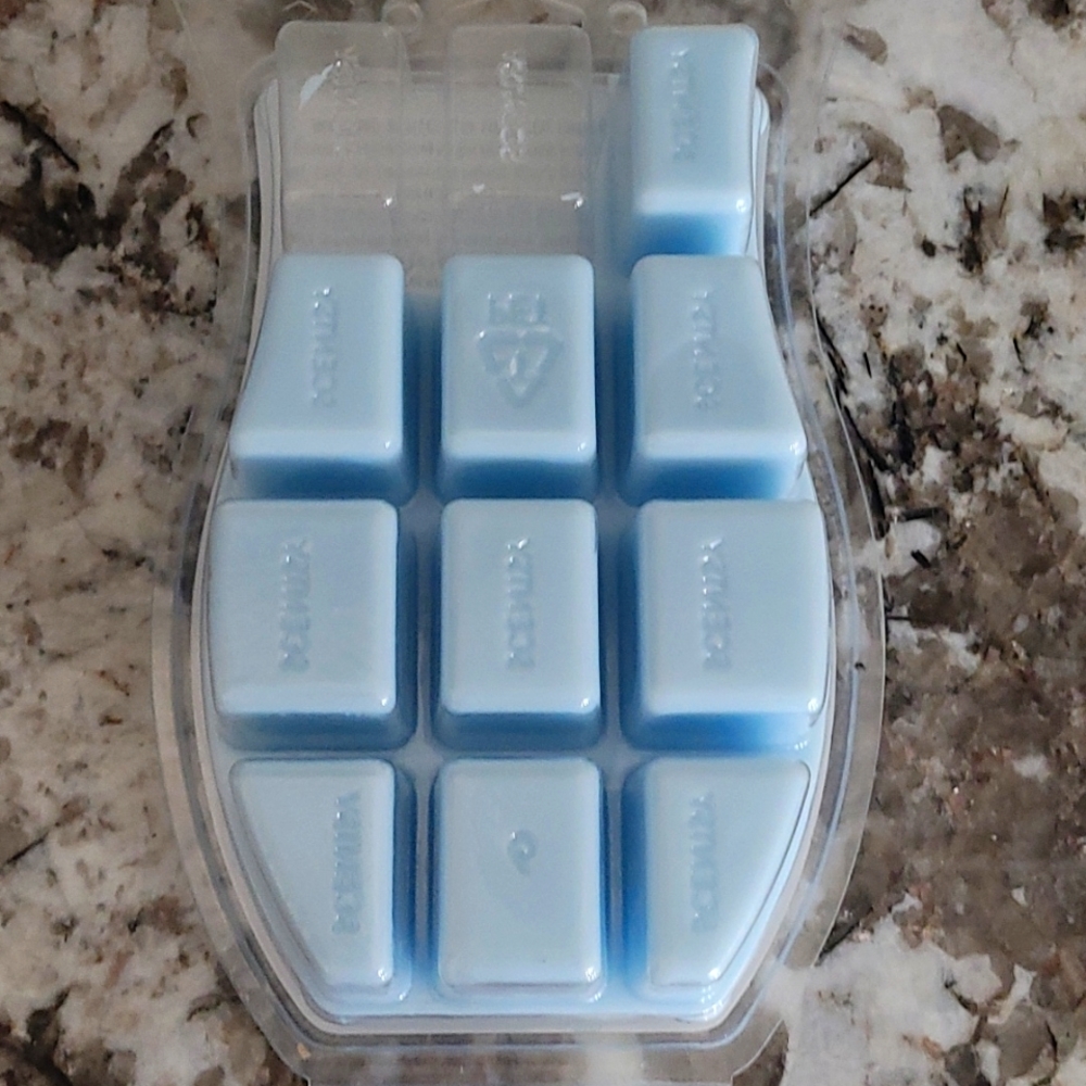 Scentsy BRICK